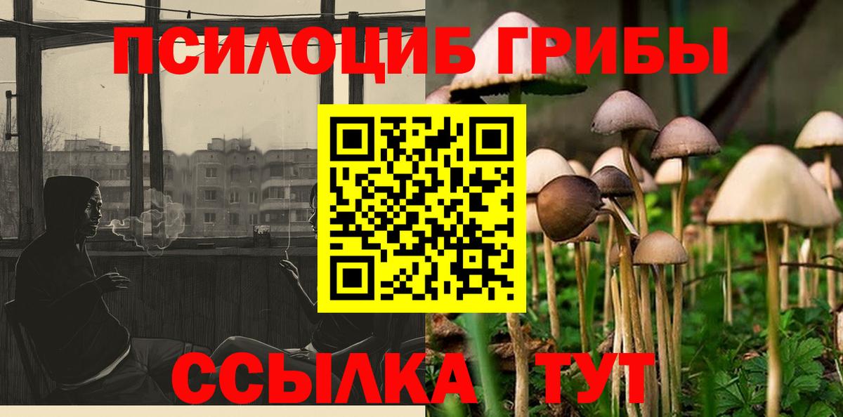 Галлюциногенные грибы Cubensis Белебей